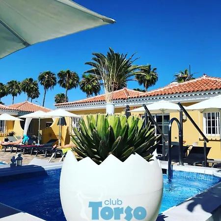 Club Torso Gay Men Only Maspalomas (Gran Canaria)